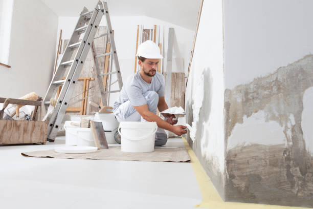 Best Drywall Crack Repair  in Silver Grove, KY