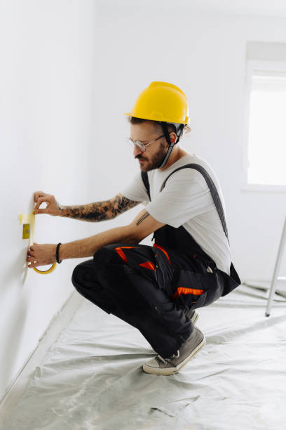 Best Drywall Removal and Disposal  in Silver Grove, KY